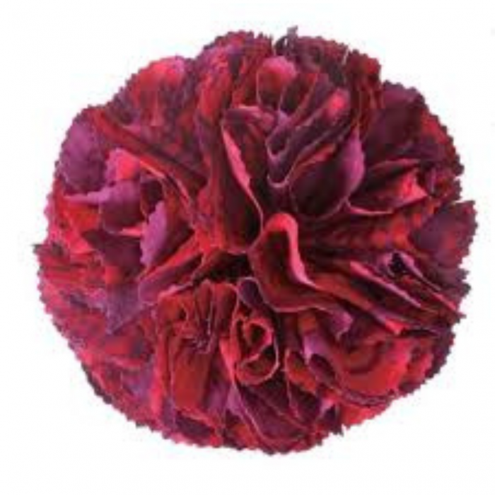 Fiore Arricciato 8460 - immagine 2