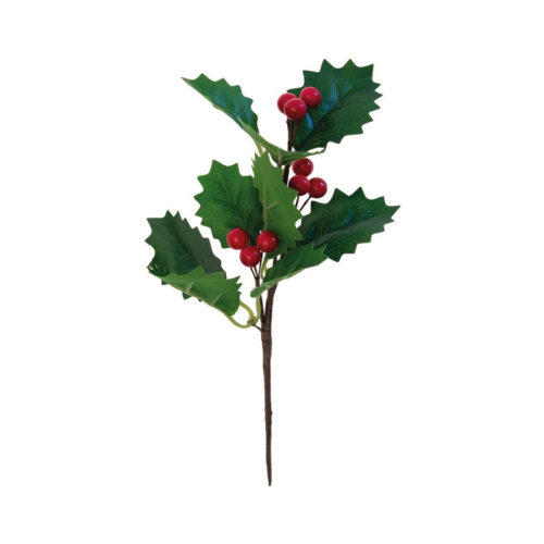 Rametto Ilex (20 cm.)